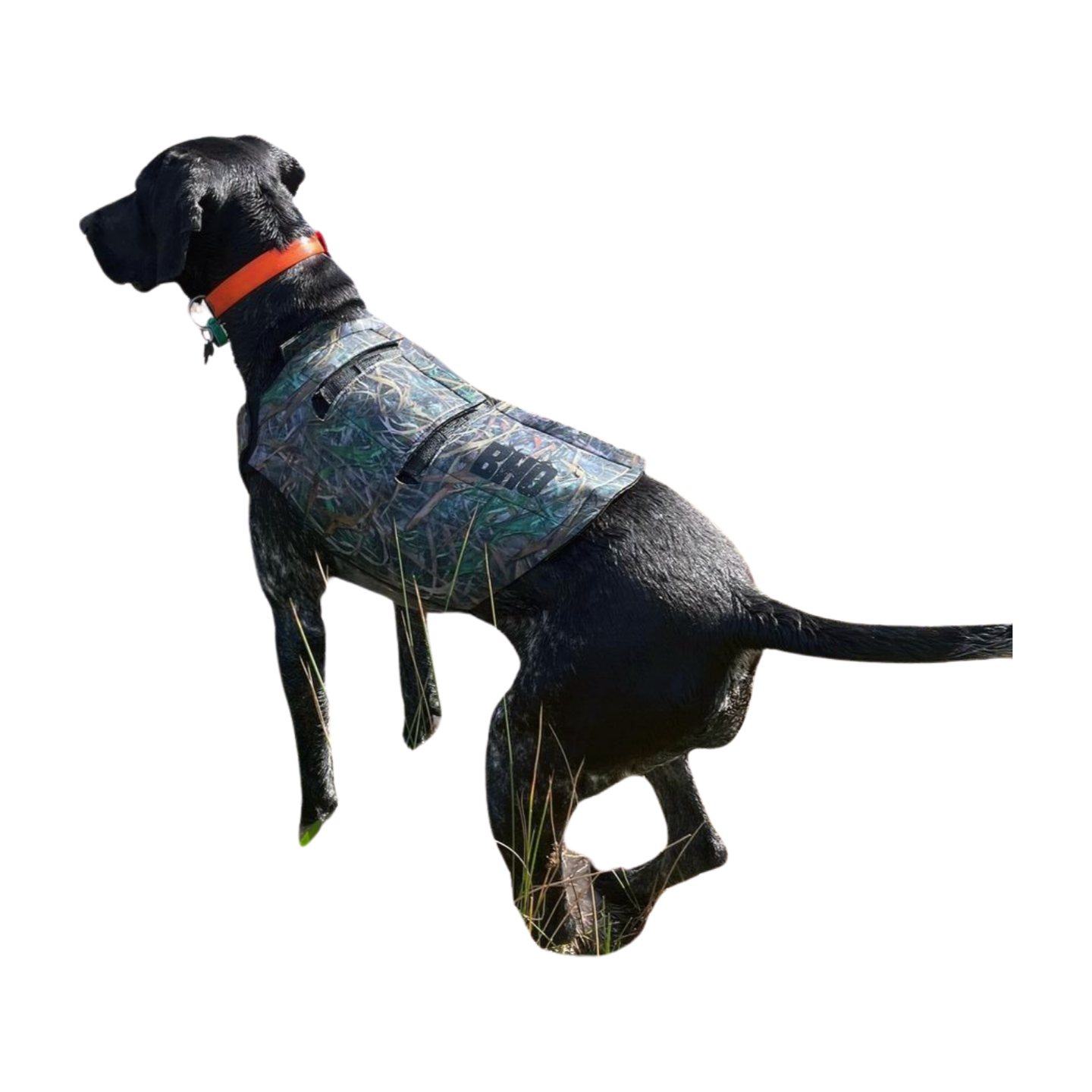 Camo dog vest X-Large